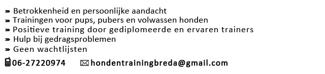 Hondentraining Breda